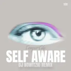 Temper City — Self Aware (DJ Nowitzki Remix)