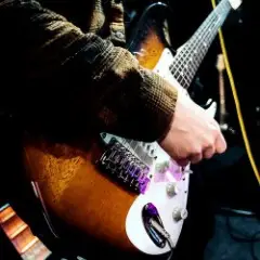 Обложка трека Птица - Ночь