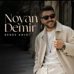 Обложка трека Noyan Demir