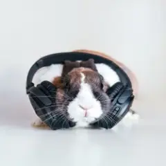 Обложка трека NNM (Mix)